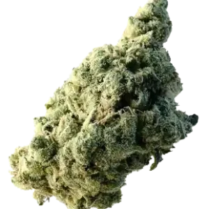 Ice - Indica Dominante