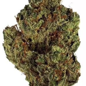 Triple G - Híbrida Dominante Indica