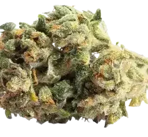 Royal Husk - Híbrida Dominante Indica
