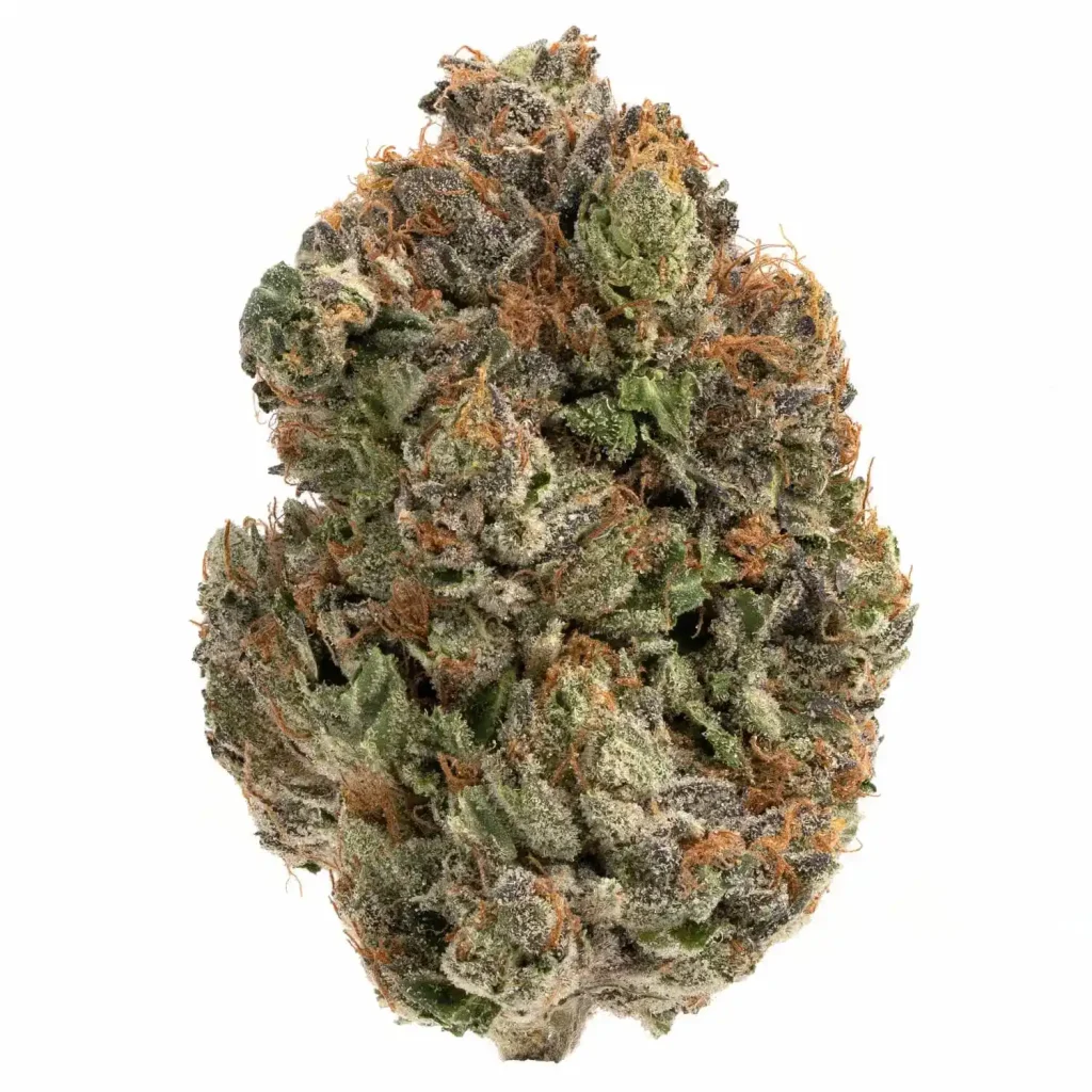 Royal Cookies - Indica Dominante