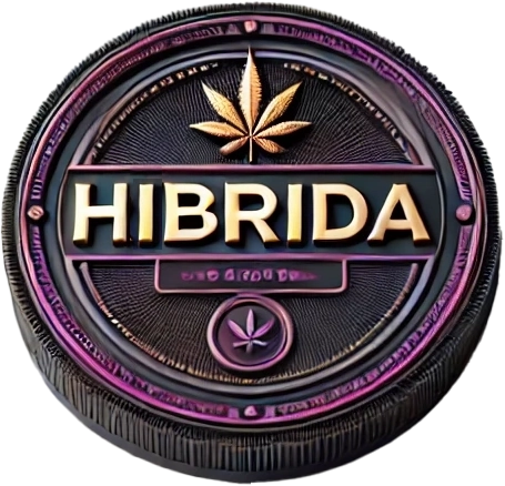 Hibrida